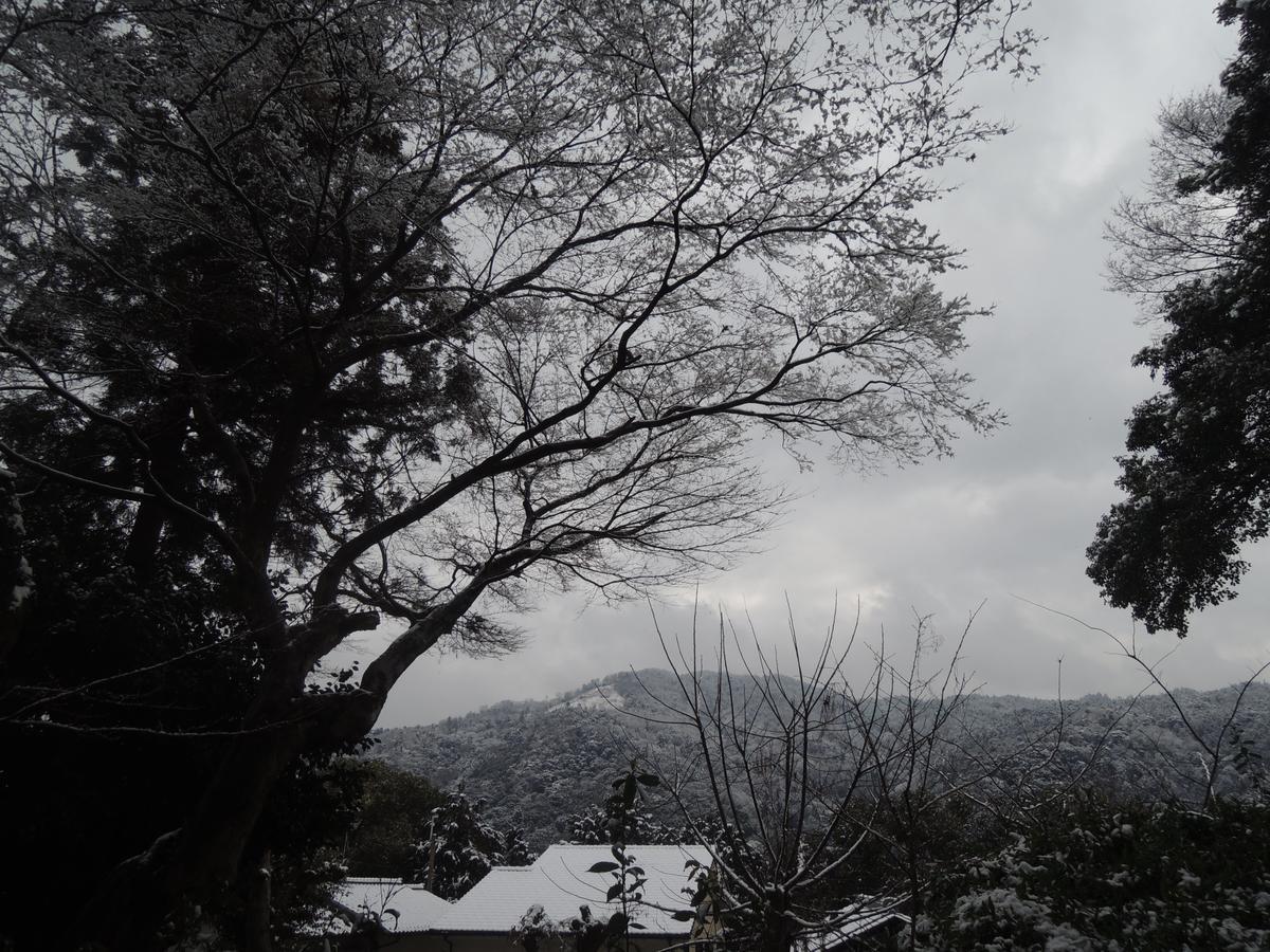 Ryokan Inn Yoshida-Sanso Kyoto Eksteriør bilde